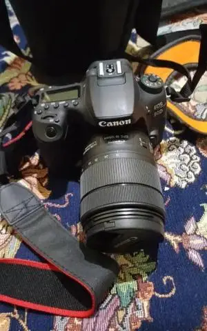 stock