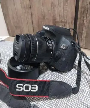 stock