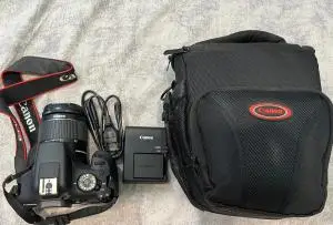 stock