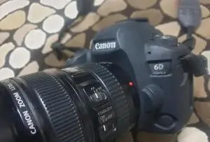 stock