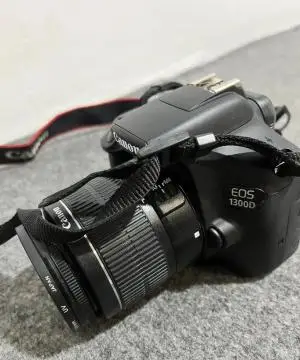 stock