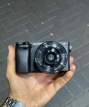 stock