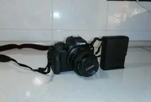 stock