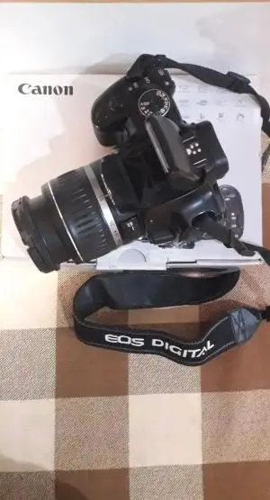 stock