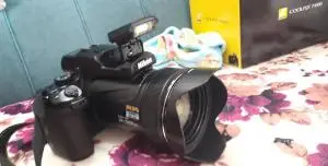stock