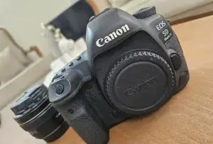 stock
