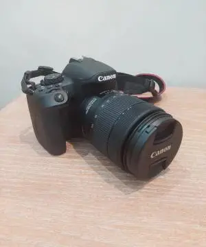 stock