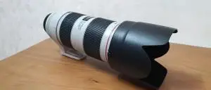 stock