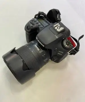 stock