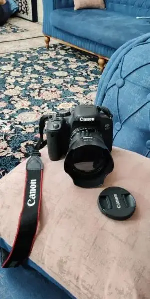 stock