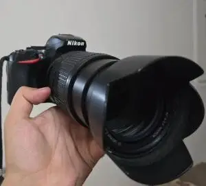 stock