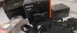 stock