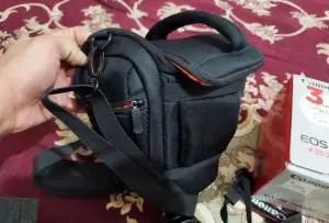 stock