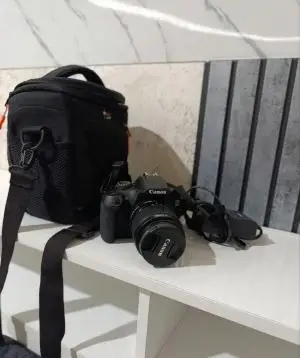 stock
