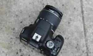 stock