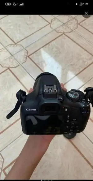 stock