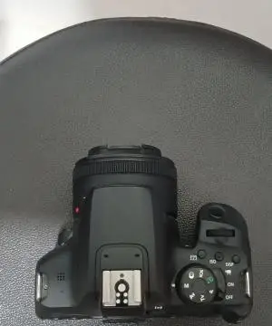 stock