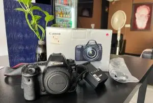 stock