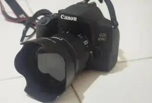 stock