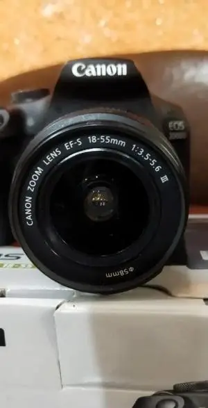 stock