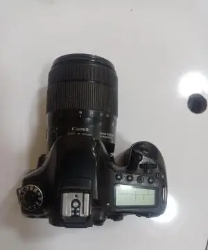 stock