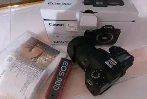 stock
