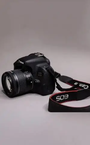 stock