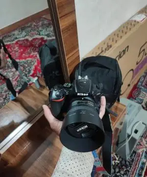 stock