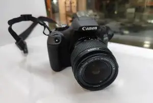 stock