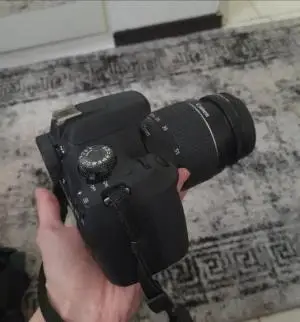 stock
