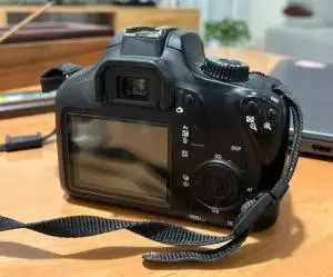 stock
