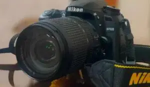 stock