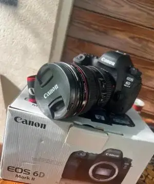 stock