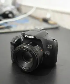 stock