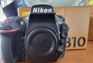 stock