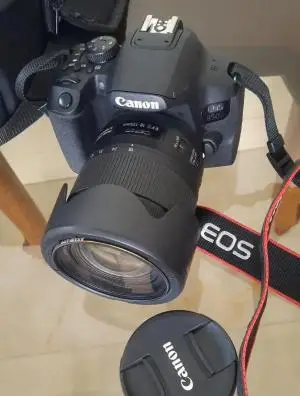 stock