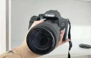 stock