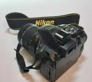stock