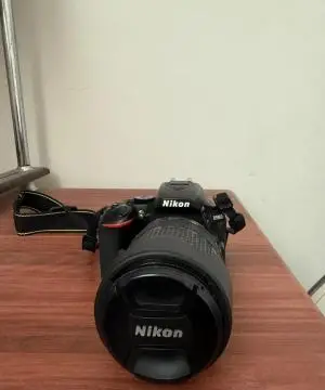 stock