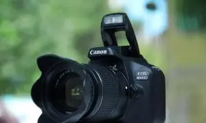 stock