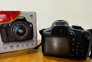 stock