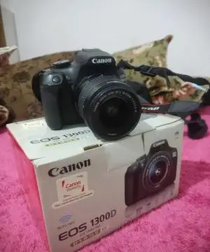 stock