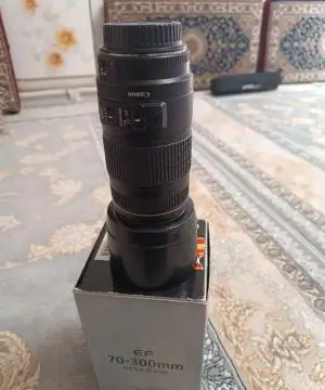 stock