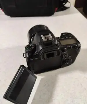 stock