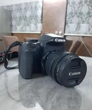 stock