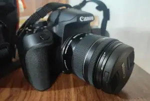 stock