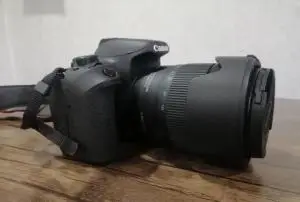 stock