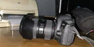 stock