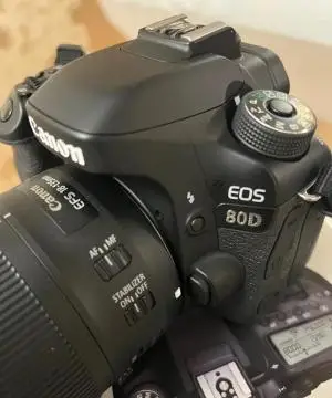 stock