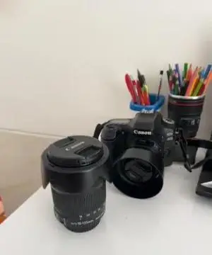stock